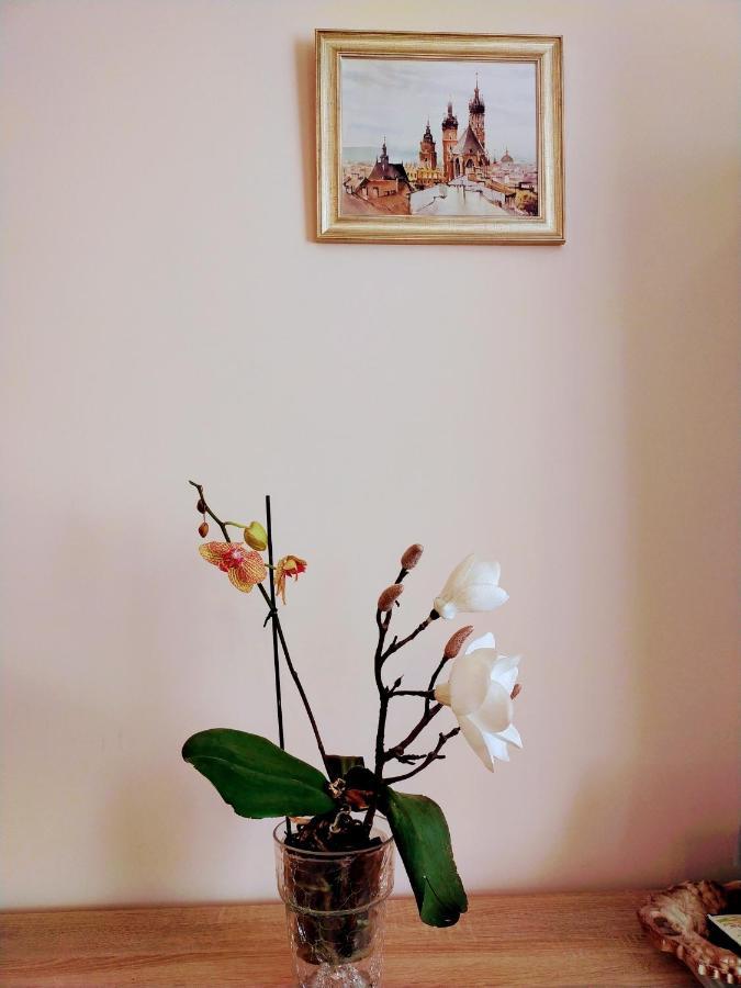 Piast Apartament 크라쿠프 외부 사진